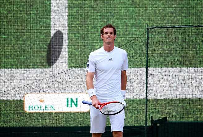 Andy Murray reacts to a Hawk-Eye review at Wimbledon in 2013. The system has been in place since '06.